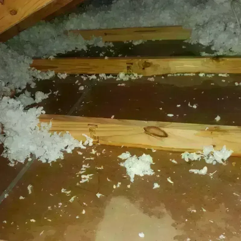 Attic Water Damage in Fort Bend County, TX